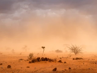 Dusty plains